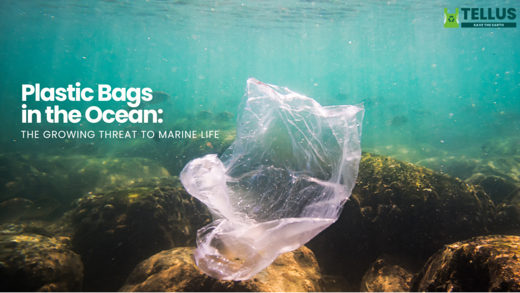 plastic bags in ocean