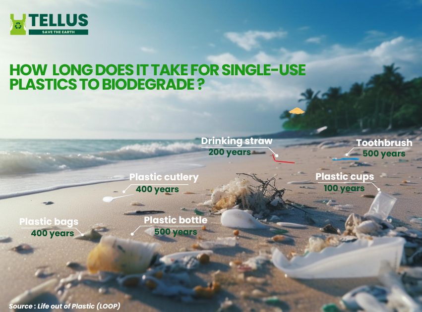 HOW LONG DOES IT TAKE FOR SINGLE-USE PLASTICS TO BIODEGRADE